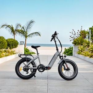 Vélo électrique tout-terrain pliable avec cadre rabattable, fournisseur OEM Chine - Product Image 5