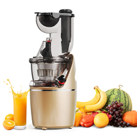 Multifunctionele Elektrische Sapcentrifuge Grote Mond Kauwen Koude Pers Slow Juicer Machine Extractor-Type Fruitmixer