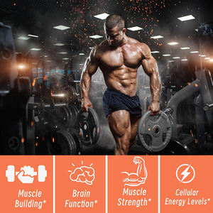 <span class=keywords><strong>Créatine</strong></span> Monohydrate OEM ODM avec Creapure : Favorise la Force Musculaire, l'Endurance et Maintient la Production d'Énergie - Product Image 5