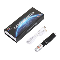 Stylo pointeur laser portable mini USB 532nm vert 650nm rouge avec batterie intégrée