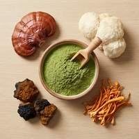 Nouvelle formule Adaptogène Poudre de matcha cérémonielle Matcha infusé aux champignons de qualité supérieure Poudre de thé vert matcha