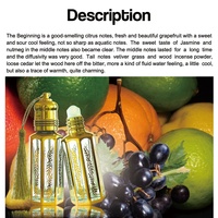 Vente chaude Raisin Citron Menthe Gingembre Noix De Muscade Jasmin Encens Cèdre Boisé Arôme Dubaï Arabe 12ml Huile De Parfum Roll-on pour Hommes