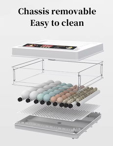 Автоматический инкубатор для маленьких яиц - Product Image 2