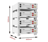 Système de stockage d'énergie solaire Deye basse tension LiFePO4 51,2 V avec batterie au lithium 100 Ah et 6000 cycles
