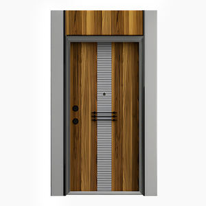 Porte d'entrée moderne en acier avec ouverture manuelle Surface finie pour usage extérieur et conseils nutritionnels relatifs - Product Image 2