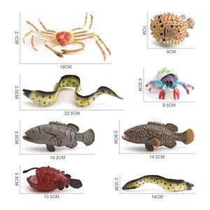 xinhen Modelos de simulación de animales marinos para niños: pez globo, pargo, cangrejo ermitaño, anguila morera y otros animales subacuáticos - Product Image 4