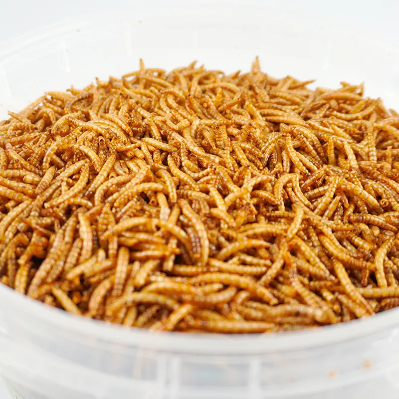 도매 건조 노란색 mealworms 애완 동물 음식 조류 음식 피드 햄스터 간식 장식용 물고기와 거북이 음식