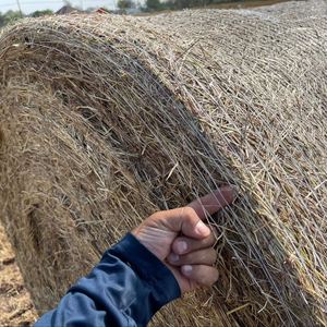 Mesh Pallet <strong>Wrapping</strong> Baling Nets China <strong>Supplier</strong> <strong>Bale</strong> <strong>Netting</strong> White Hdpe Wrap Hay Net - Product Image 1