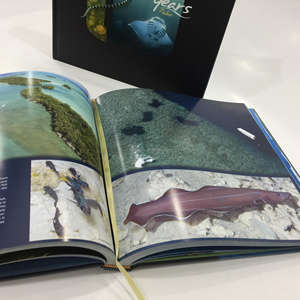 Impression de livre photo de luxe à couverture rigide, papier offset personnalisé, livre de <span class=keywords><strong>table</strong></span> <span class=keywords><strong>basse</strong></span> de luxe avec marque-page en ruban pour voyages et anniversaires - Product Image 5