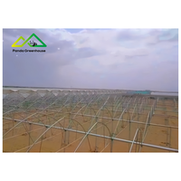 Meestverkochte Gotische Tuinbouwkas Kit |   Grote turnkey commerciële structuur voor hoogproductieve groente- en bessenteelt
