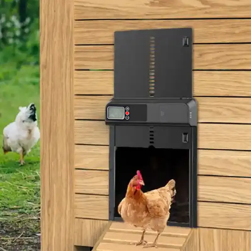 Top vendita porta di vetro per la carne di pollo porta automatica pollaio automatico porta pollaio apriscatole per azienda agricola