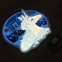 Affiches publicitaires personnalisées Panneau électroluminescent et boîte à lumière acrylique de type mural clignotant