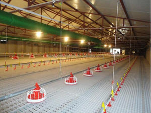 Équipement de ferme pour poulets de chair Volaille <span class=keywords><strong>Prix</strong></span> d'usine Plancher en plastique à latte en plastique pur Pp pour ferme avicole - Product Image 6