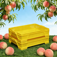 Panier à fruits en plastique recyclable, maille de verger, épaissi, empilable, caisse à pieds hauts, caisse à pêches, trous, boîte de retournement