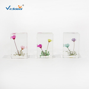 Spécimen de fleur emboîté dans de la résine hémisphérique de 47 mm, ornement de fleur séchée, cadeau exquis, fabricant de spécimens. - Product Image 4