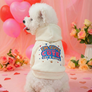 Nueva ropa de otoño/invierno para mascotas, para perros pequeños, cachorros, perros y gatos felices, sudaderas cálidas y cómodas con bordado de fechas. - Product Image 1
