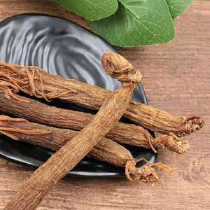 Ücretsiz örnek kore Ginseng kore kırmızı satılık kore kırmızı Ginseng - Product Image 3