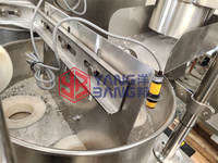 Automatic Sachet Desiccant Packing Machine Silicagel Packaging Machine