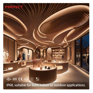 PERFECT IP68 Rating Full PU Coated UV Resistance 16*15mm Top Bend Single Color DC24V Flexible <b>Neon</b> Light Used for Swimming Pool - Product Image 3