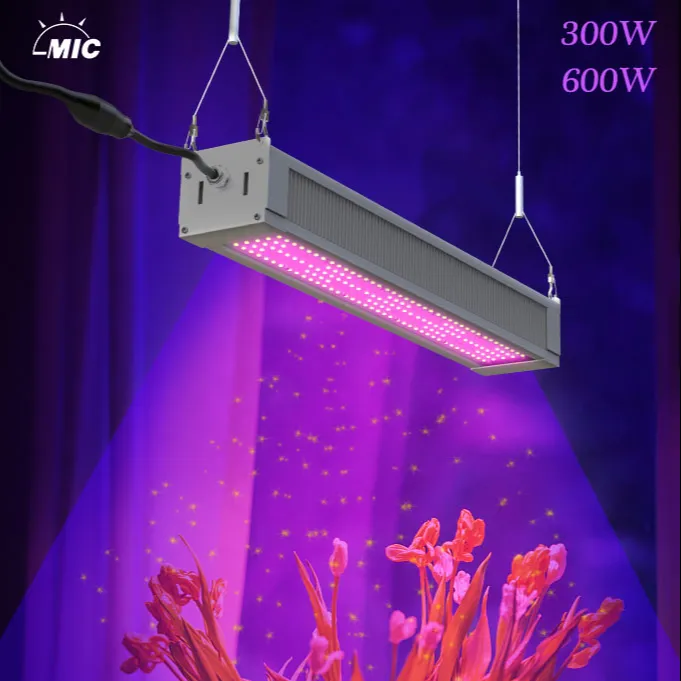 مصباح نمو ضوئي ليد 1650 Pro E, مصباح لنمو النباتات ، كامل الطيف ، 600 واط ، استبدال HPS 1000 واط ، إضاءة جسم أبيض مضيئة ، طاقة دافئة Evo