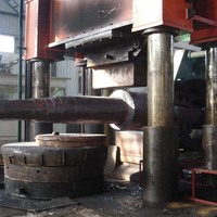 Wjh Stainless Steel Forged Shield Ring for Thermal Power Generators