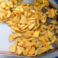 Premium FD Gefreeze-droogde Gele Perzik Schijfjes/Dobbelstenen Zoete Tropische Fruit Snack OEM