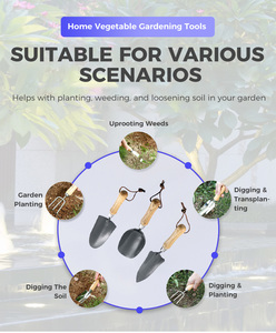 Kit de herramientas de jardinería de madera, pala pequeña de acero al carbono, esparcidor de trasplantes, horquilla de jardín, entrega directa de fábrica, el más vendido - Product Image 5