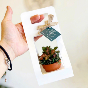 Boîte cadeau pliable portable en laminé jetable pour la fête des enseignants, boîte à fleurs, boîte à plantes à main - Product Image 3