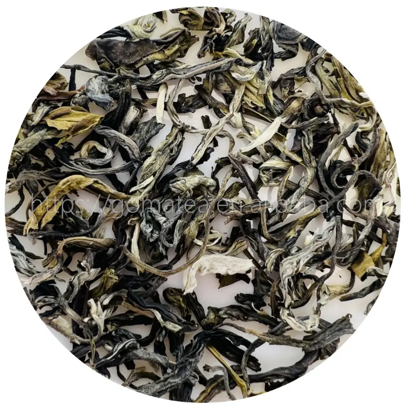 平らなおなかの中国の緑茶の葉のための新しいテヴェルデペコ緑茶