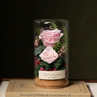Rose séchée en gros sous cloche en verre – Décoration élégante pour la maison, cadeau pour la Saint-Valentin, la fête des enseignants et souvenir