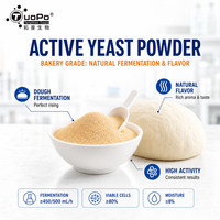 Levain sec actif de qualité alimentaire à faible humidité, excellent effet de levaison pour les produits à base de pâte de blé fermentée