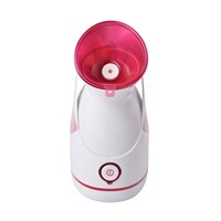 Uso en el hogar Nano Ionic Portable Facial Steamer Skin Hidratante Warm Mist Spray