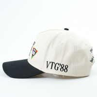 Gorra de Béisbol Oxford de Dos Tonos con Puntos, Logotipo Personalizado, Alta Calidad, 5 Paneles, Bordado 3D, Gorra de Golf Personalizada para Papá, Unisex