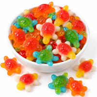 Bonbons Gélifiés Halal pour Enfants en Forme de Tortue, Bonbons Personnalisés OEM, Bonbons Gélifiés en Gros, Fournisseur de Bonbons Gélifiés en Chine