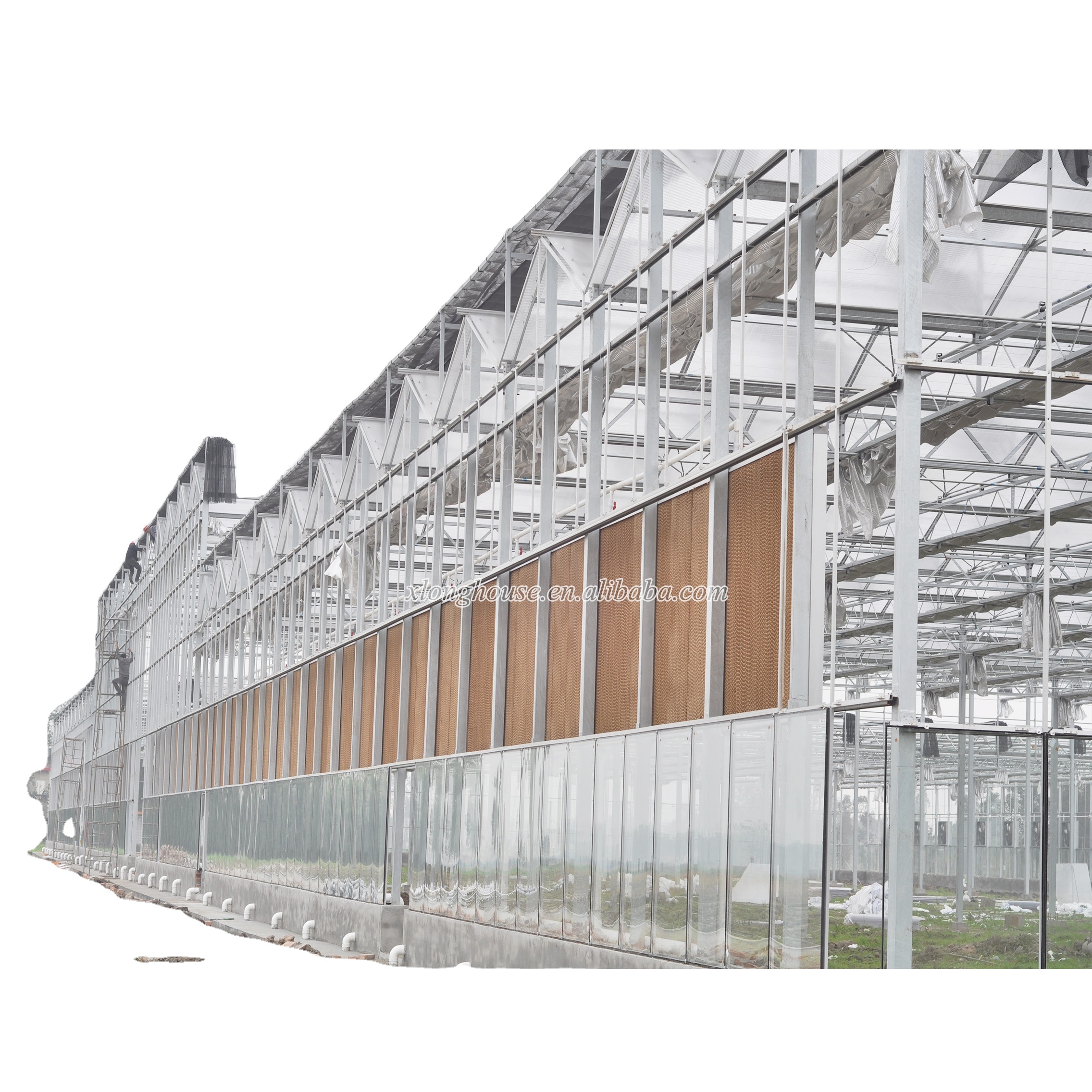 Коммерческая голландская теплица из закаленного стекла типа Venlo Multi Span