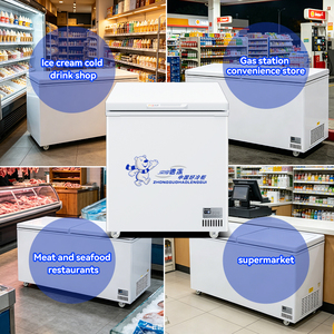 Congélateur horizontal commercial pour restaurants et supermarchés - Réfrigérateur à double porte <span class=keywords><strong>grande</strong></span> capacité avec portes solides verrouillables - Product Image 3