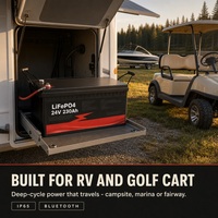 Batterie LiFePO4 à décharge profonde pour stockage d'énergie solaire domestique, étanche IP65, auto-chauffante, Bluetooth, OEM ODM, 12V 24V 48V