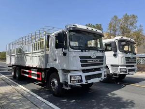 Camión de <span class=keywords><strong>transporte</strong></span> especial multiusos Shaanxi Auto Delong para <span class=keywords><strong>viajes</strong></span> en grupo grande 6x4 - Product Image 5