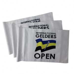 Недорогие мини-Клюшки для гольфа с отверстиями, пластиковые флажки, нейлоновый баннер для гольфа с печатным логотипом - Product Image 2