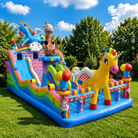 Toboggan aquatique gonflable géant pour adultes et château gonflable adapté aux enfants pour aire de jeux – Fournisseur professionnel