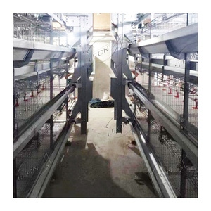 Yüksek kalite otomatik H tipi broiler kuş tavuk için tel örgü panelleri pil kanatlı kafes - Product Image 6