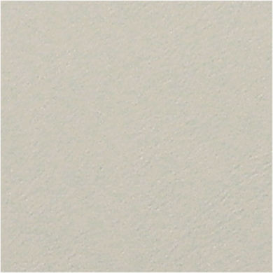 FG-01สีเทาอ่อน12-0404 TPG