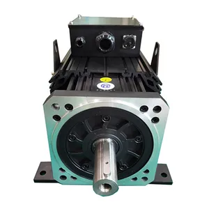 Động cơ <span class=keywords><strong>servo</strong></span> ba pha 20 kW <span class=keywords><strong>1500</strong></span> vòng/phút có độ bền cao cho máy phun với hiệu suất và độ tin cậy tốt - Product Image 1