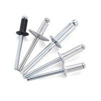 Rivets aveugles en acier et aluminium peints en couleur, norme DIN CLASSE 4, tête ronde de 3/8 po, fournisseur chinois à prix compétitif