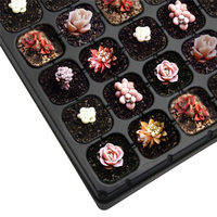 Plateau de semis multi-cellules en plastique pour jardin domestique, serre, herbes et fleurs – Plateau de germination et de culture