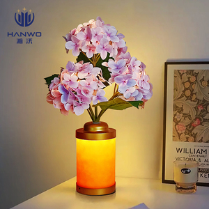 Lãng Mạn Tú Cầu Bình LED Ánh Sáng Ban Đêm Phổ Biến Vòng Bóng Đèn Bàn Với E26 Cơ Sở Cho Đám Cưới Phòng Ngủ Trang Trí Nội Thất - Product Image 4