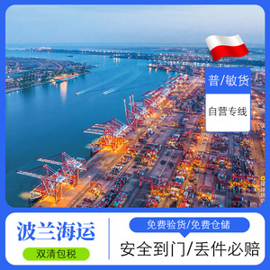 Sea Whale Poland Sea Freight Line International Logistics Freight Forwarding DDP Door To Door Express Service - Product Image 5