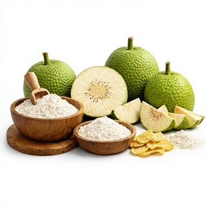 Poudre de fruit de saké, farine de fruit du pain, poudre d'Artocarpus Altilis, texture fine et lisse, agent liant pour pâte, pour muffins Ulu, OEM - Product Image 1