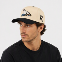 Groothandel Hoge Kwaliteit Gestructureerde 5-Panelige Tweekleurige Beige Zwarte 100% Katoenen Op Maat Geborduurde Logo Snapback Caps Baseball Petten