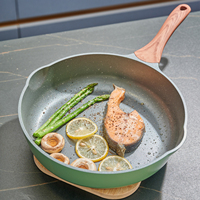 Poêles à frire antiadhésives Poêles et poêles à frire de 11 pouces, poêle en céramique avec bec verseur, poêle non toxique pour cuisinière, induction, gaz,
